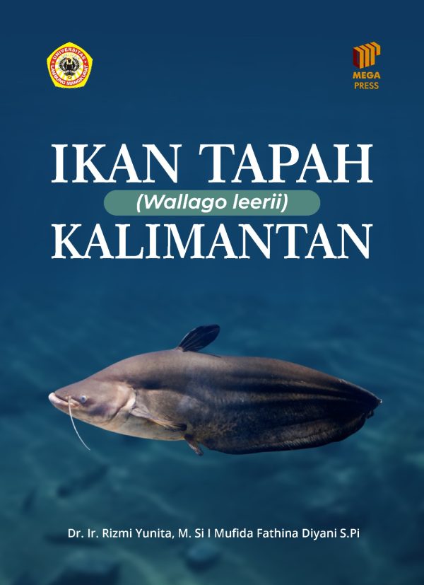 IKAN TAPAH (Wallago leerii) KALIMANTAN